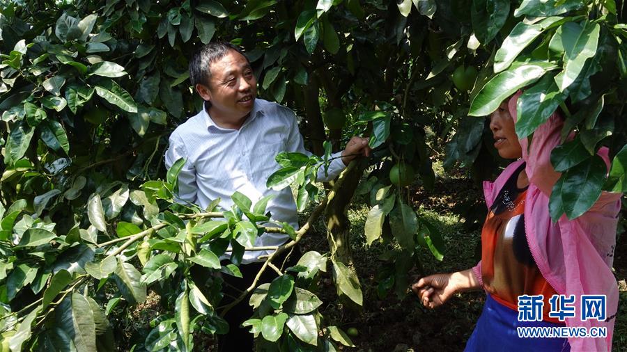 (新華網·決戰(zhàn)決勝脫貧攻堅·圖文互動)(1)貴州思南:強村帶弱村 “抱團”促增收