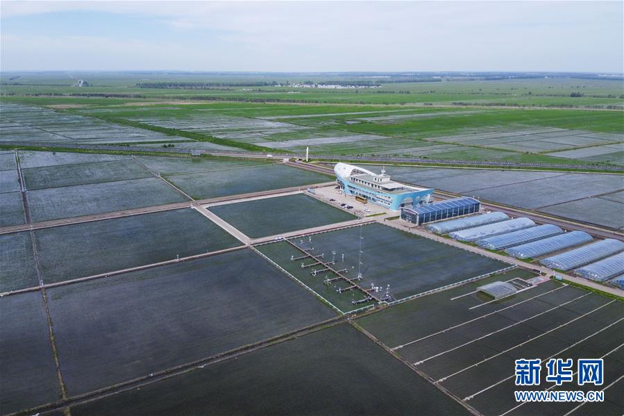 (走向我們的小康生活·圖文互動(dòng))(3)端牢“中國飯碗” 播種綠色小康