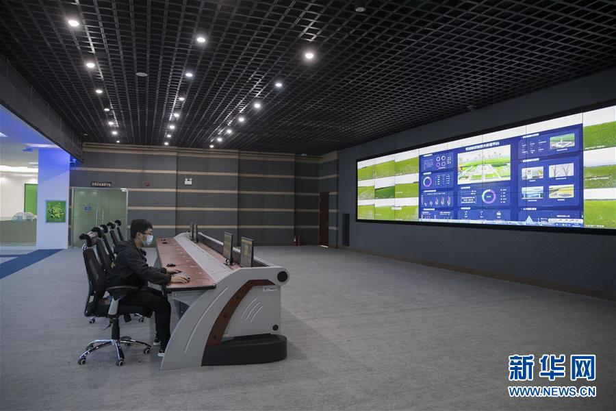 (走向我們的小康生活·圖文互動(dòng))(8)端牢“中國飯碗” 播種綠色小康