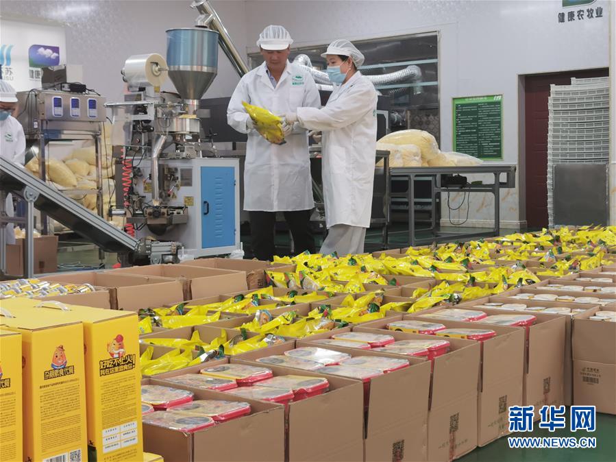 （決戰決勝脫貧攻堅&middot;圖文互動）玉米&ldquo;變形&rdquo;記