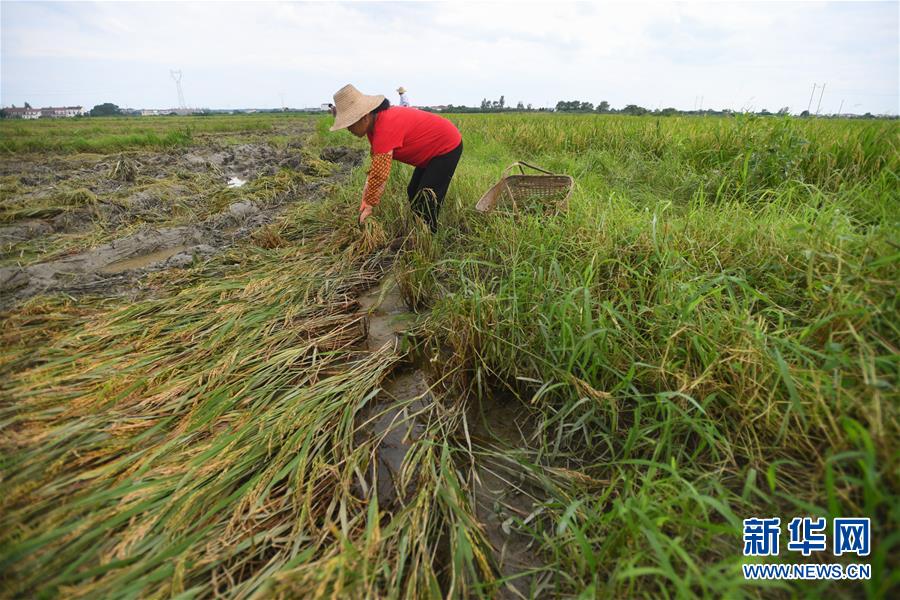 (新華全媒頭條·圖文互動)(13)為了人民群眾生命財產(chǎn)安全——聚焦關(guān)鍵時期全國防汛抗洪工作