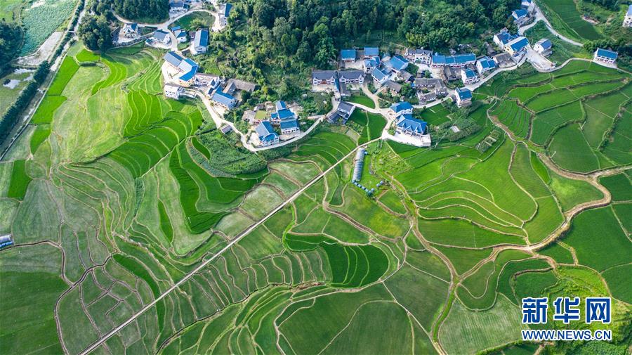 (走向我們的小康生活·圖文互動)(2)紅色圣地的“初心答卷”——革命老區遵義肝膽相照寫征程