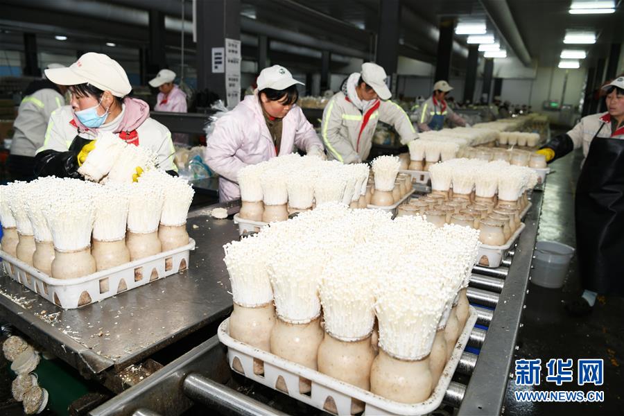 （走向我們的小康生活&middot;圖文互動）（2）烏蒙&ldquo;同心&rdquo;戰貧困