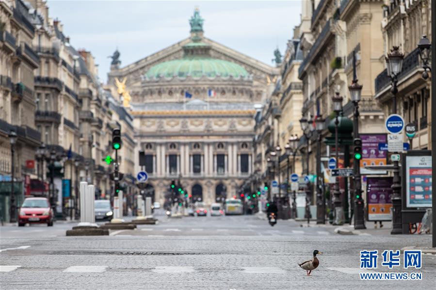 (國際·圖文互動)(4)特稿:穿越寒暑 無問西東——寫在新冠疫情構成“國際關注的突發公共衛生事件”半年之際