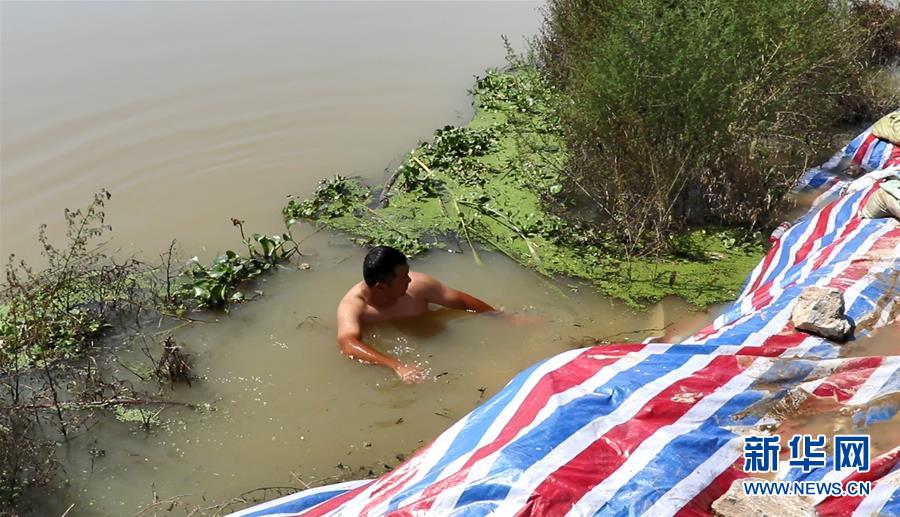 (新華全媒頭條·圖文互動)(2)筑起共御水患的鋼鐵長堤——戰洪一線的“干群關系新答卷”