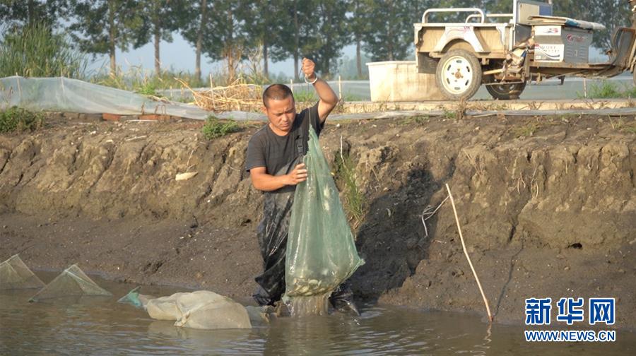 (鄉(xiāng)村振興·圖文互動(dòng))(2)歡喜莊的“歡喜事”