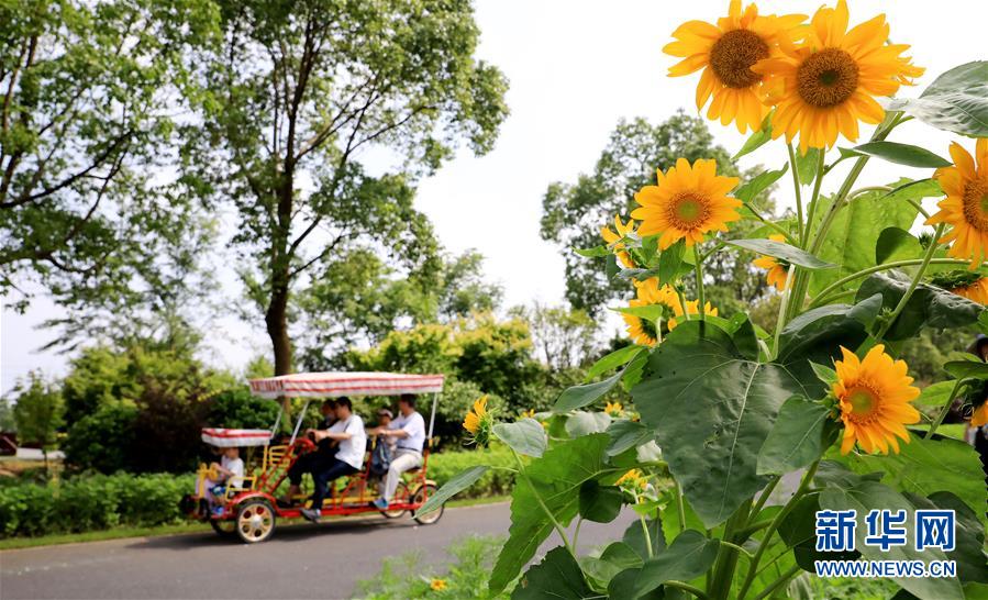 (新華全媒頭條·走向我們的小康生活·圖文互動)(13)城市,讓人民生活更美好