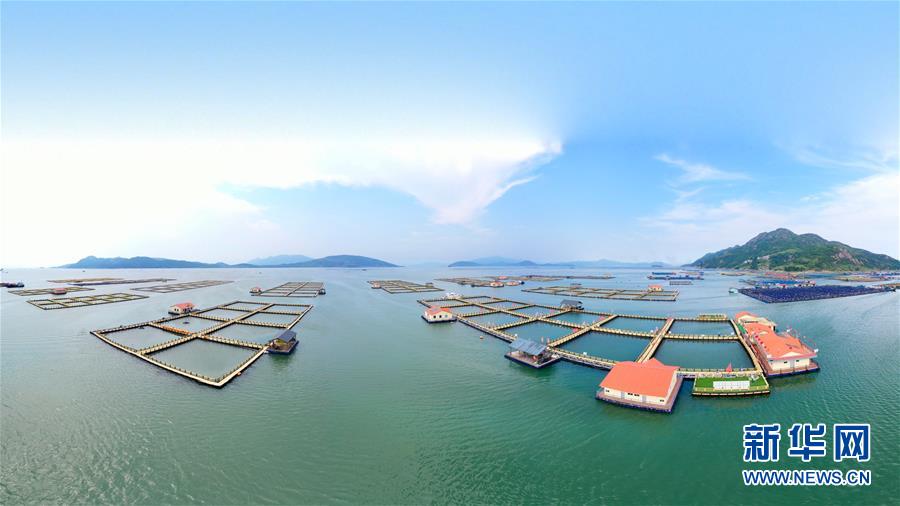 (新華全媒頭條·走向我們的小康生活·圖文互動)(3)弱鳥先飛今翱翔——閩東寧德振興啟示錄