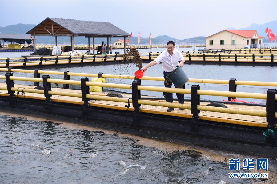 (新華全媒頭條·走向我們的小康生活·圖文互動)(9)弱鳥先飛今翱翔——閩東寧德振興啟示錄