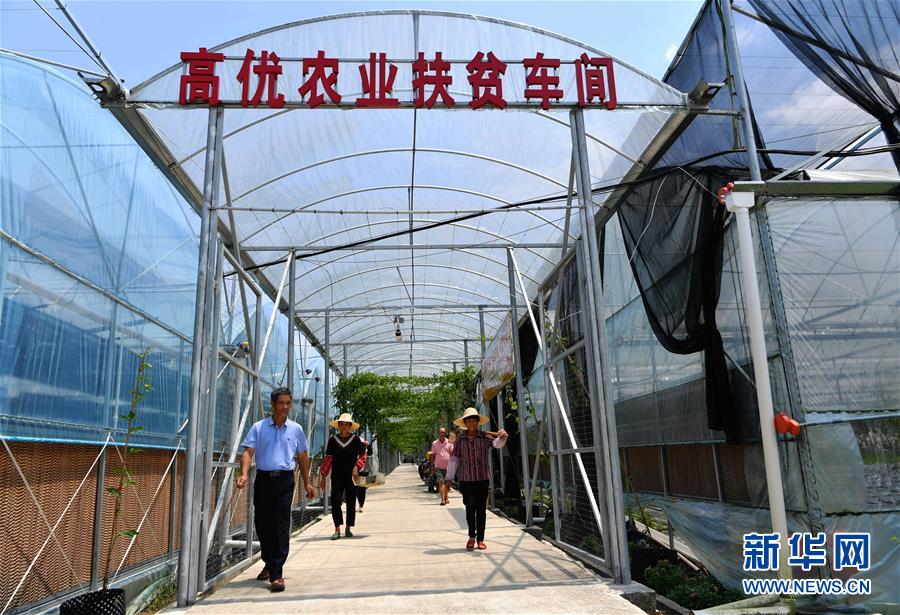 (走向我們的小康生活·圖文互動)(3)“紅土地”越來越紅火——福建老區蘇區發展新貌掠影