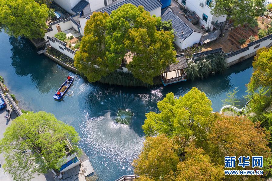 (新華全媒頭條·圖文互動)(12)生態(tài)文明之光照耀美麗中國——寫在綠水青山就是金山銀山理念提出15周年之際