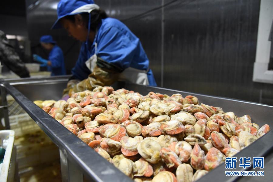 (走向我們的小康生活·圖文互動)(1)長島漁民的扇貝喜事:從請客求人買到供不應求