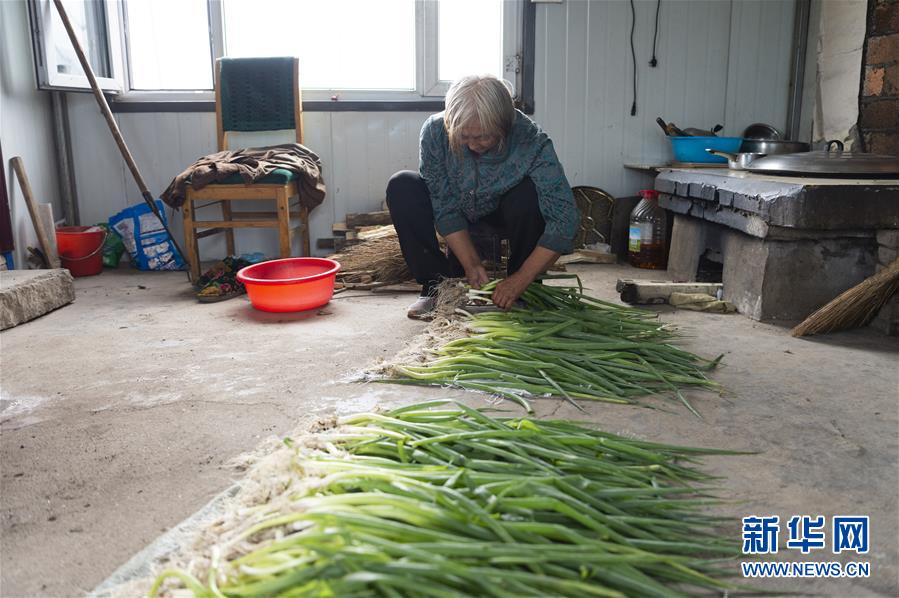 （決戰(zhàn)決勝脫貧攻堅&middot;圖文互動）（4）老張的菜園