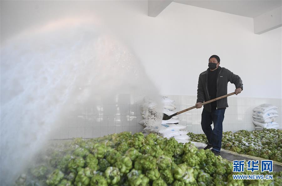 (新華全媒頭條·走向我們的小康生活·圖文互動)(6)大城大鄉(xiāng)的“幸福協(xié)奏曲”——重慶推動高質(zhì)量發(fā)展創(chuàng)造高品質(zhì)生活紀事