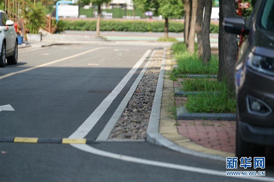 (圖文互動)(2)“綠灰白”破解城市內(nèi)澇之“囧”