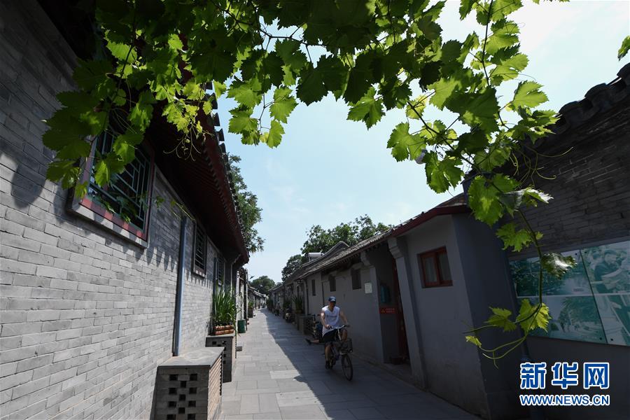 （走向我們的小康生活&middot;圖文互動）（1）小橋、流水、書香、人家&mdash;&mdash;老北京胡同里的恬靜棲居