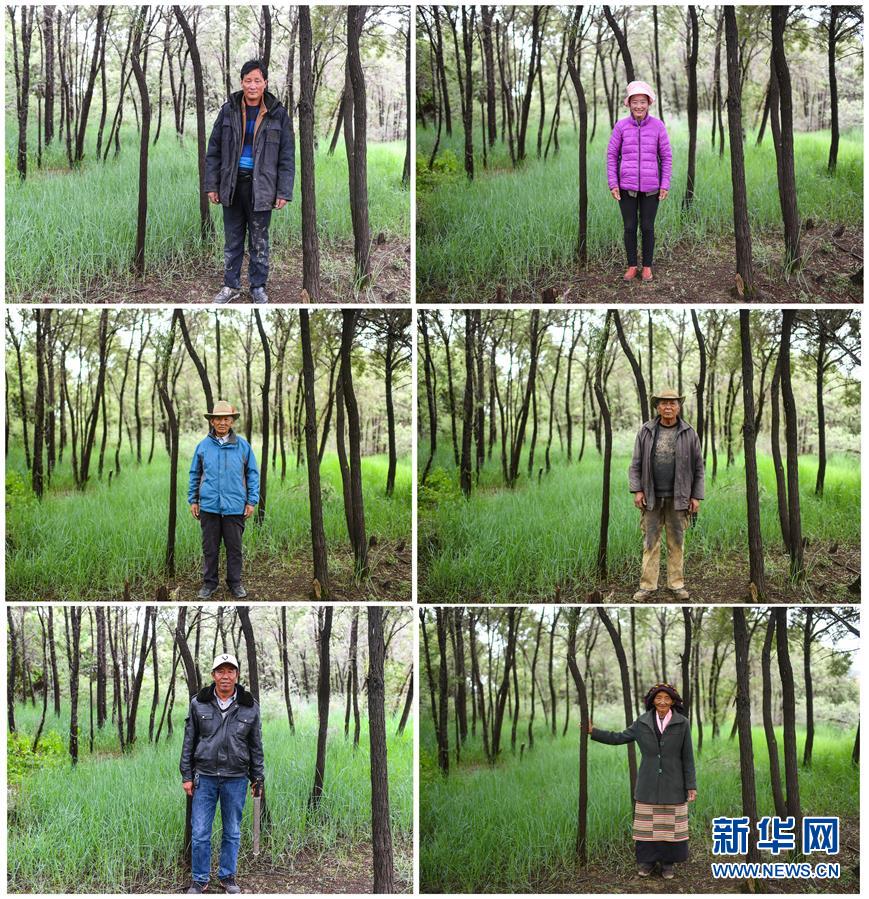 (新華全媒頭條·圖文互動)(7)莊重的承諾 歷史的奇跡——西藏自治區(qū)決戰(zhàn)脫貧攻堅(jiān)紀(jì)實(shí)