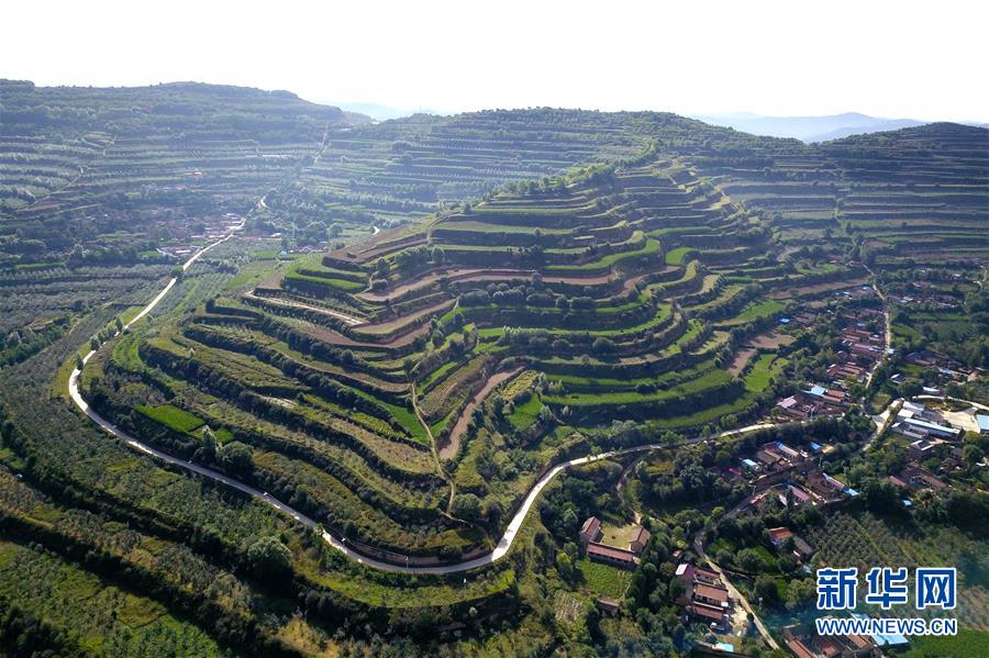 (走向我們的小康生活·圖文互動)(1)在那碧綠的階梯上——“梯田之鄉”甘肅莊浪縣的“三級跳”