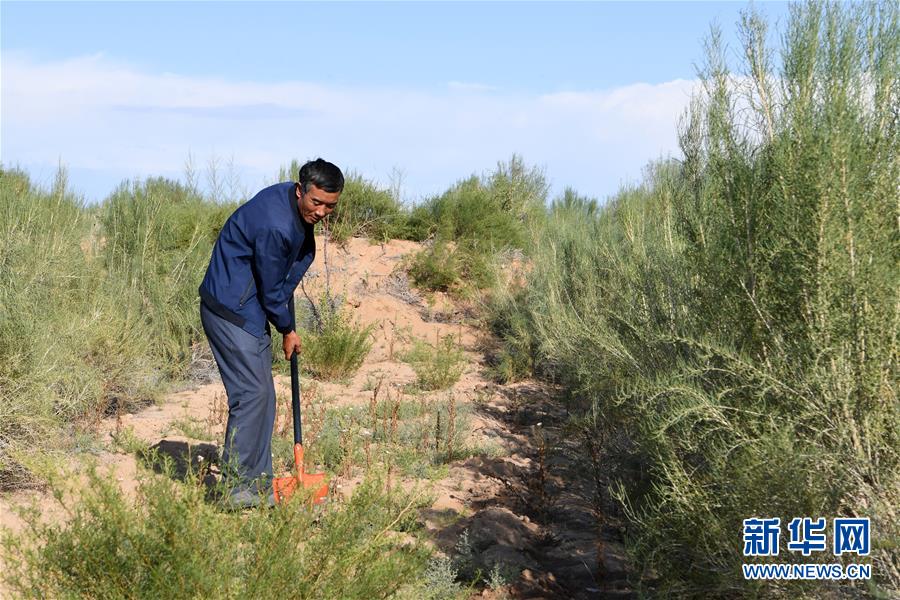 （新華全媒頭條&middot;走向我們的小康生活&middot;圖文互動）（8）&ldquo;苦甲&rdquo;不再，&ldquo;甘味&rdquo;綿長&mdash;&mdash;脫貧攻堅的甘肅味道