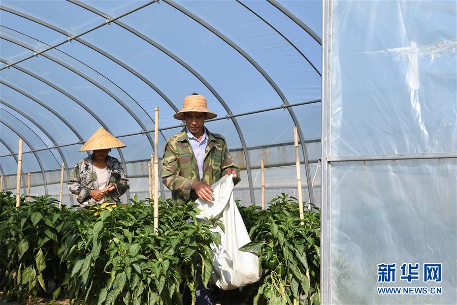 (走向我們的小康生活·圖文互動)(1)“荒涼”土地掘金記——甘肅旱作農業發展“變奏曲”