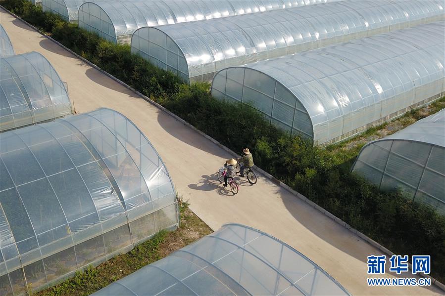 (走向我們的小康生活·圖文互動)(3)“荒涼”土地掘金記——甘肅旱作農業發展“變奏曲”