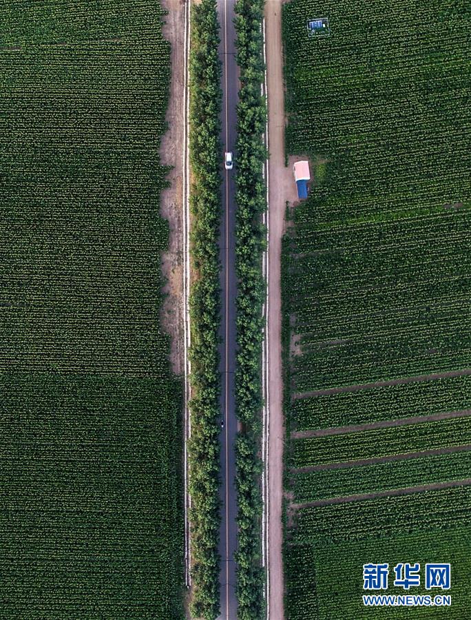 (新華全媒頭條·圖文互動)(3)為現代農業探新路——來自吉林梨樹的田野報告