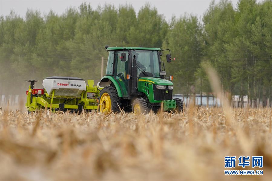 (新華全媒頭條·圖文互動)(10)為現代農業探新路——來自吉林梨樹的田野報告