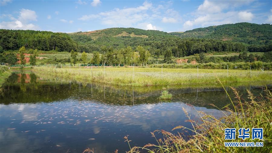 (新華全媒頭條·決戰決勝脫貧攻堅·督戰未摘帽貧困縣·圖文互動)(4)苦蕎花開大涼山——四川7個未摘帽縣脫貧攻堅一線觀察