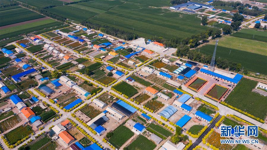 （新華全媒頭條&middot;走向我們的小康生活&middot;圖文互動）（1）黑土地上是我家&mdash;&mdash;在吉林，一瞥中國東北鄉(xiāng)村美麗未來