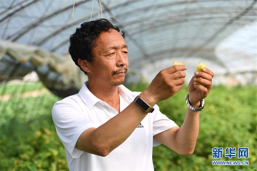 （新華全媒頭條&middot;走向我們的小康生活&middot;圖文互動）（7）黑土地上是我家&mdash;&mdash;在吉林，一瞥中國東北鄉(xiāng)村美麗未來