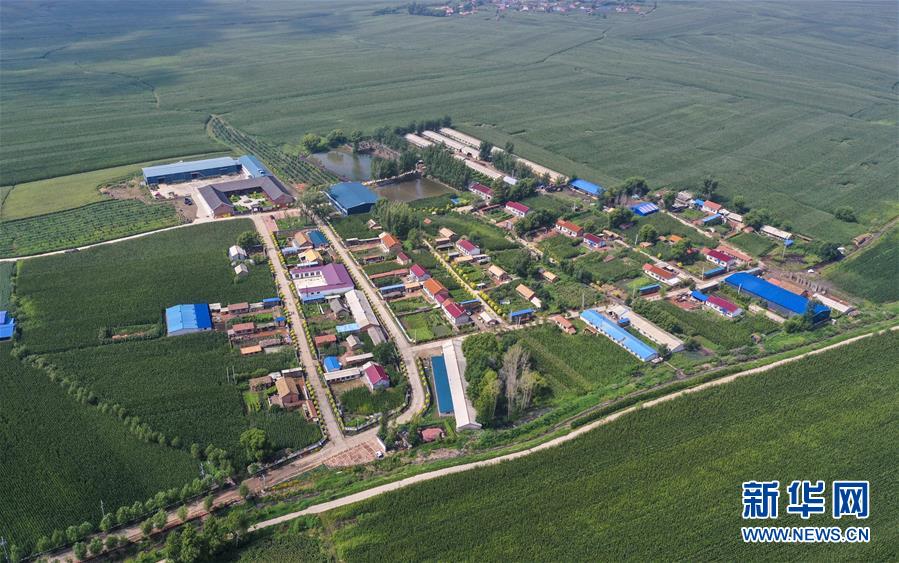 （新華全媒頭條&middot;走向我們的小康生活&middot;圖文互動）（12）黑土地上是我家&mdash;&mdash;在吉林，一瞥中國東北鄉(xiāng)村美麗未來
