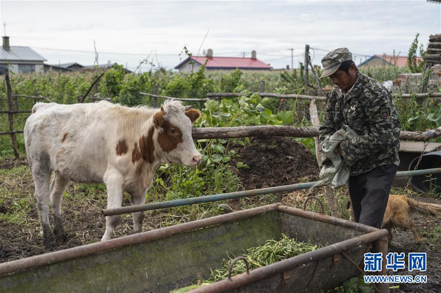 （決戰決勝脫貧攻堅&middot;圖文互動）（2）團結村的李輝新傳