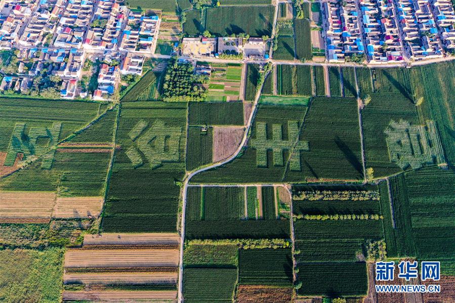 (新華全媒頭條·圖文互動)(3)天道酬勤的大地贊歌——寫在第三個中國農(nóng)民豐收節(jié)之際