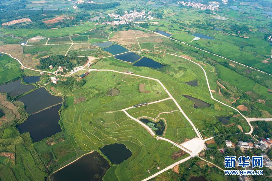 （新華全媒頭條&middot;走向我們的小康生活&middot;圖文互動(dòng)）（1）特殊之年，荊楚大地書寫不平凡的答卷