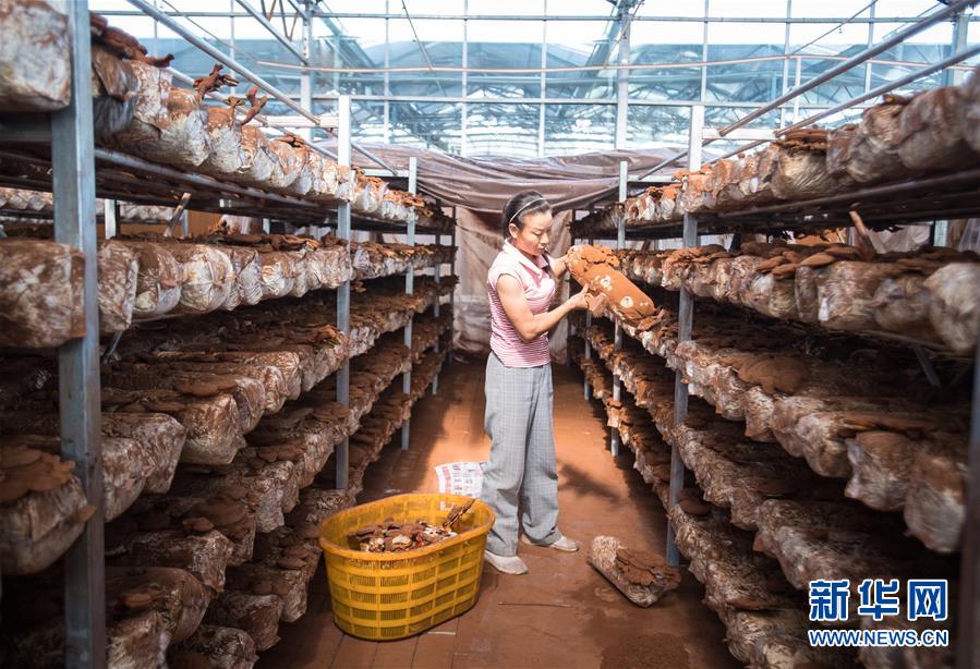 （新華全媒頭條&middot;走向我們的小康生活&middot;圖文互動(dòng)）（3）特殊之年，荊楚大地書寫不平凡的答卷