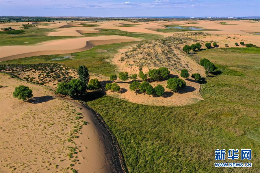 (在習(xí)近平新時(shí)代中國(guó)特色社會(huì)主義思想指引下——新時(shí)代新作為新篇章·習(xí)近平總書(shū)記關(guān)切事·圖文互動(dòng))(10)綠意,在黃沙中鋪展——我國(guó)防沙治沙紀(jì)實(shí)