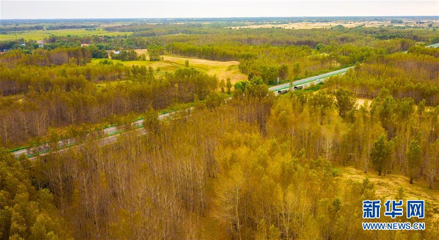 (在習(xí)近平新時(shí)代中國(guó)特色社會(huì)主義思想指引下——新時(shí)代新作為新篇章·習(xí)近平總書(shū)記關(guān)切事·圖文互動(dòng))(3)綠意,在黃沙中鋪展——我國(guó)防沙治沙紀(jì)實(shí)