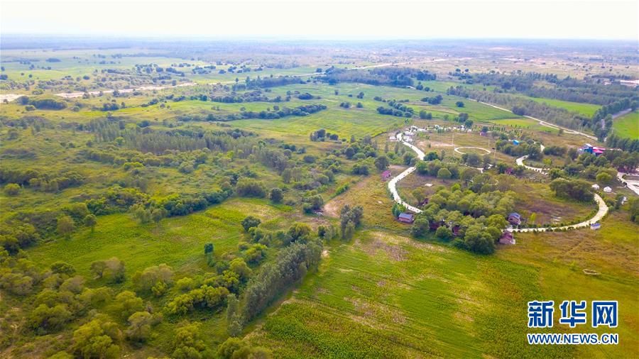 (在習(xí)近平新時(shí)代中國(guó)特色社會(huì)主義思想指引下——新時(shí)代新作為新篇章·習(xí)近平總書(shū)記關(guān)切事·圖文互動(dòng))(1)綠意,在黃沙中鋪展——我國(guó)防沙治沙紀(jì)實(shí)