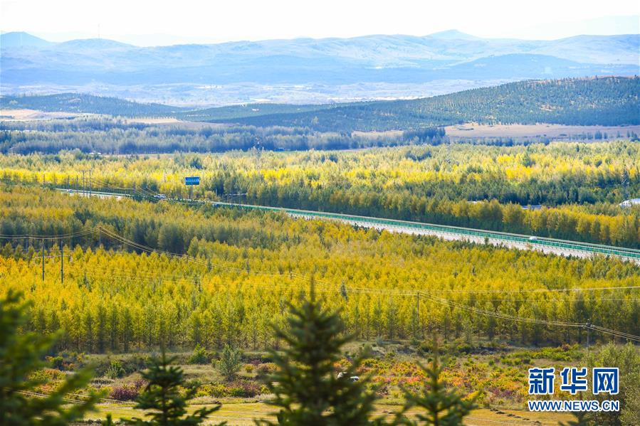 (在習(xí)近平新時(shí)代中國(guó)特色社會(huì)主義思想指引下——新時(shí)代新作為新篇章·習(xí)近平總書(shū)記關(guān)切事·圖文互動(dòng))(7)綠意,在黃沙中鋪展——我國(guó)防沙治沙紀(jì)實(shí)