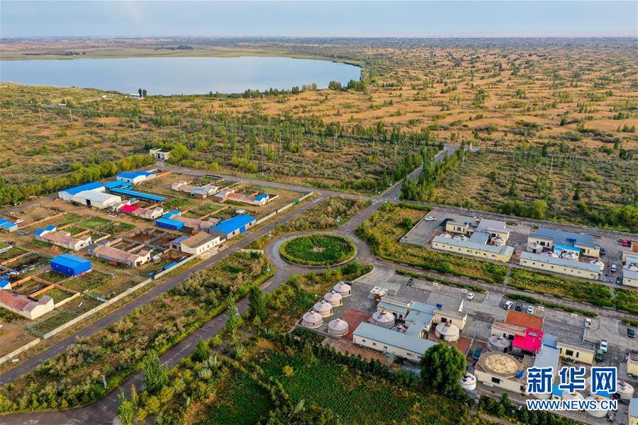 (在習(xí)近平新時(shí)代中國(guó)特色社會(huì)主義思想指引下——新時(shí)代新作為新篇章·習(xí)近平總書(shū)記關(guān)切事·圖文互動(dòng))(12)綠意,在黃沙中鋪展——我國(guó)防沙治沙紀(jì)實(shí)