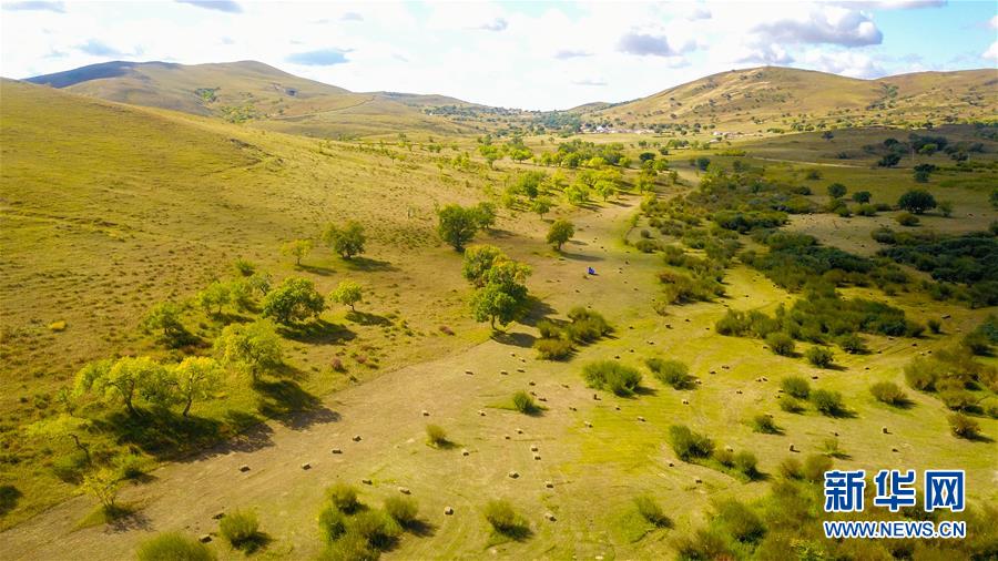 (在習(xí)近平新時(shí)代中國(guó)特色社會(huì)主義思想指引下——新時(shí)代新作為新篇章·習(xí)近平總書(shū)記關(guān)切事·圖文互動(dòng))(4)綠意,在黃沙中鋪展——我國(guó)防沙治沙紀(jì)實(shí)