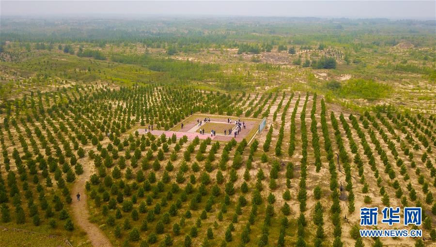 (在習(xí)近平新時(shí)代中國(guó)特色社會(huì)主義思想指引下——新時(shí)代新作為新篇章·習(xí)近平總書(shū)記關(guān)切事·圖文互動(dòng))(2)綠意,在黃沙中鋪展——我國(guó)防沙治沙紀(jì)實(shí)