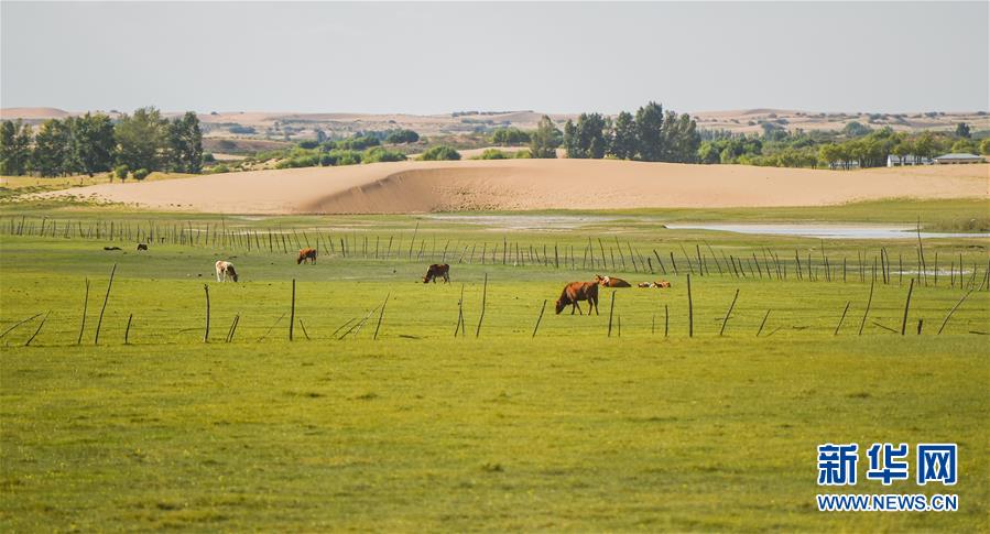 (在習(xí)近平新時(shí)代中國(guó)特色社會(huì)主義思想指引下——新時(shí)代新作為新篇章·習(xí)近平總書(shū)記關(guān)切事·圖文互動(dòng))(9)綠意,在黃沙中鋪展——我國(guó)防沙治沙紀(jì)實(shí)