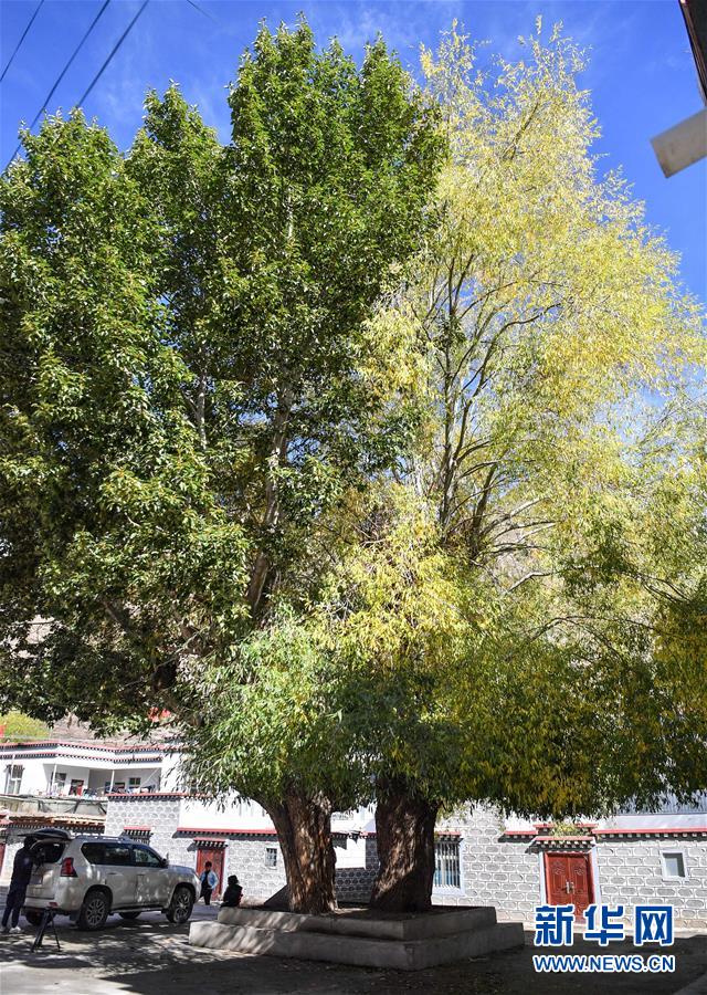 （圖文互動）（2）歷史遺跡的述說&mdash;&mdash;西藏昌都源遠流長的民族團結故事