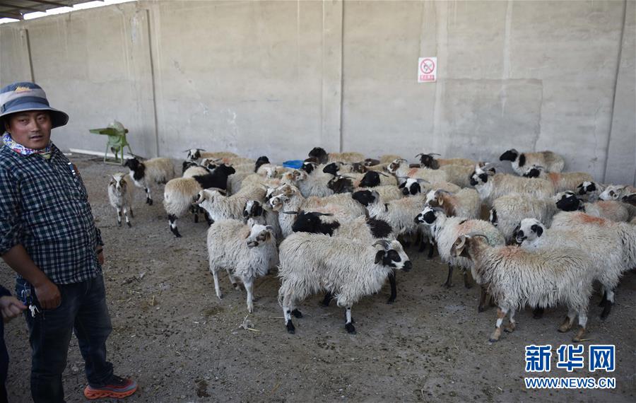 (集中連片特困地區貧困村調研行·圖文互動)(4)長江源村人的兩個家和幸福夢——青海格爾木市長江源村脫貧調查