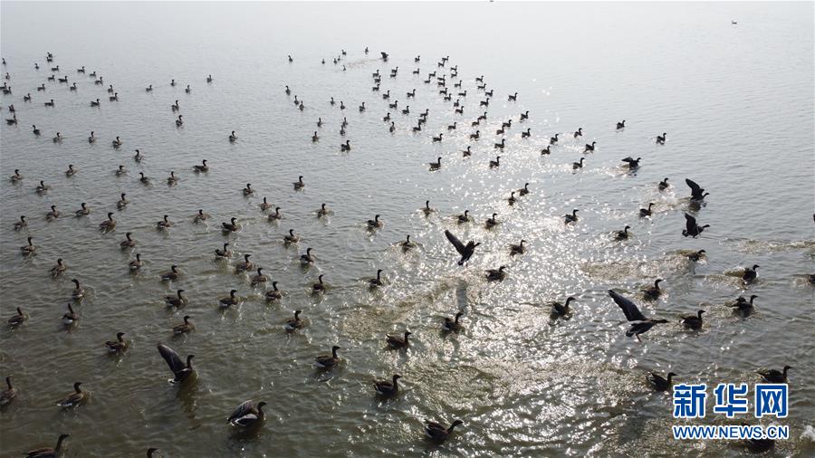 （新華全媒頭條&middot;圖文互動）（12）長淮新&ldquo;斗水&rdquo;記&mdash;&mdash;寫在新中國治淮70年之時