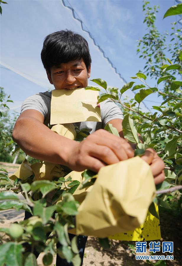 （習近平的小康故事&middot;圖文互動）（2）&ldquo;我很期盼的一件事，就是讓鄉親們飽餐一頓肉&rdquo;&mdash;&mdash;習近平和脫貧攻堅的故事