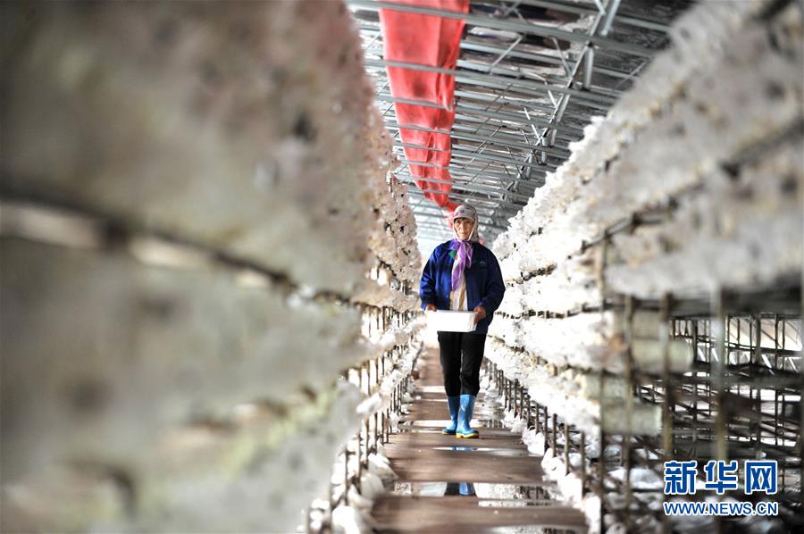 （習近平的小康故事&middot;圖文互動）（6）&ldquo;我很期盼的一件事，就是讓鄉親們飽餐一頓肉&rdquo;&mdash;&mdash;習近平和脫貧攻堅的故事