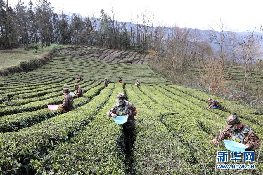 (圖文互動)(2)百舸爭流千帆競——“十三五”期間國防動員事業取得歷史性突破