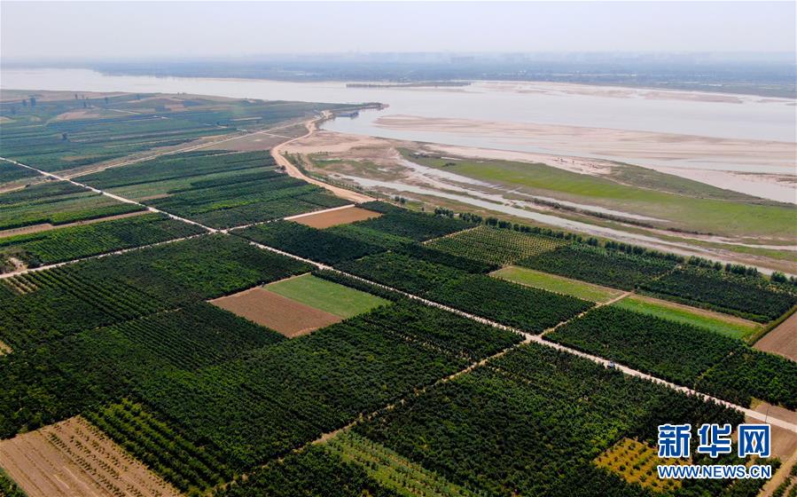 （新華全媒頭條&middot;圖文互動）（9）從&ldquo;四亂&rdquo;突出到生態修復 黃河漸成中原&ldquo;綠飄帶&rdquo;